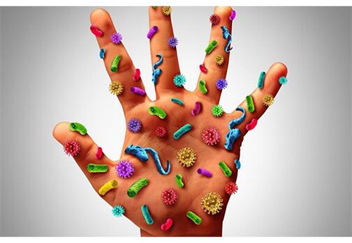 Outbreaks of the human papillomavirus are found on the hands